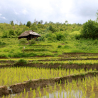Sustainable Agriculture